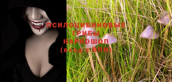 сатива Вязьма