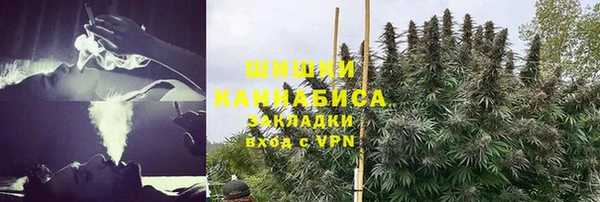 сатива Вязьма