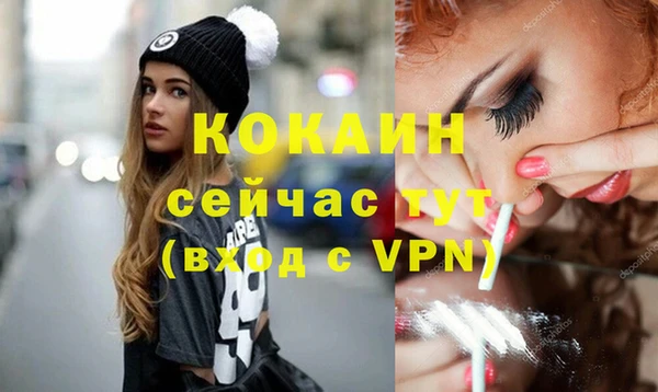 сатива Вязьма